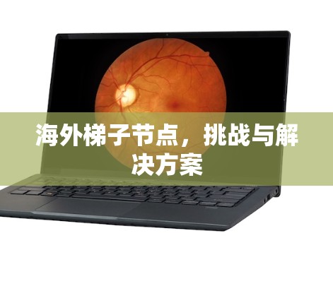 海外梯子节点，挑战与解决方案