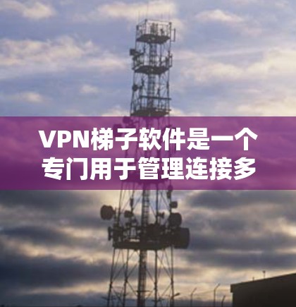 VPN梯子软件是一个专门用于管理连接多个VPN设备的工具，旨在简化和优化VPN设备的配置，确保高效、安全地连接互联网。以下是关于VPN梯子软件的详细介绍