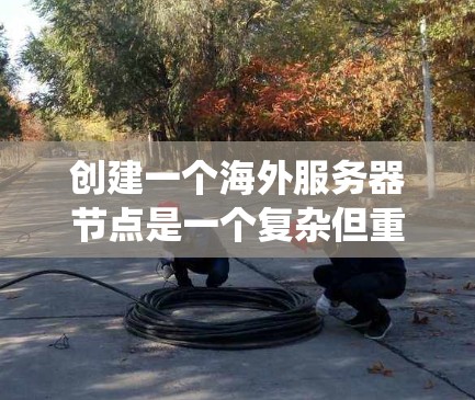 创建一个海外服务器节点是一个复杂但重要的过程,涉及多个步骤和考虑因素。以下是一个分步指南,帮助您系统地创建一个海外服务器节点