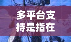 多平台支持是指在同一个应用或开发环境中支持多种设备或平台，例如iOS、Android、Windows、Linux等。以下是几个常见的多平台支持场景和相关技术
