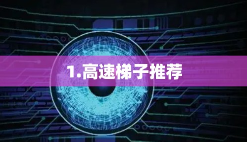 1.高速梯子推荐