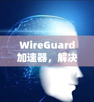 WireGuard加速器,解决Wi-Fi干扰的高效解决方案