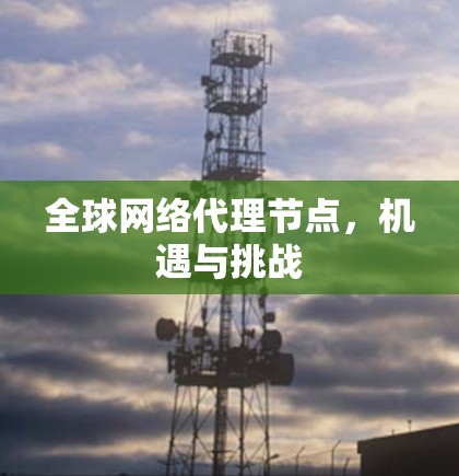 全球网络代理节点,机遇与挑战
