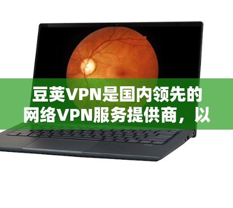 豆荚VPN是国内领先的网络VPN服务提供商,以其可靠性和安全性著称。以下是对豆荚VPN的详细介绍