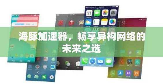 海豚加速器,畅享异构网络的未来之选
