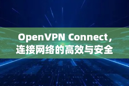 OpenVPN Connect,连接网络的高效与安全