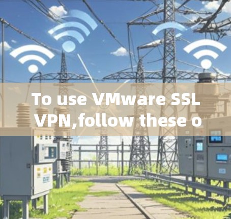 To use VMware SSL VPN,follow these organized steps: