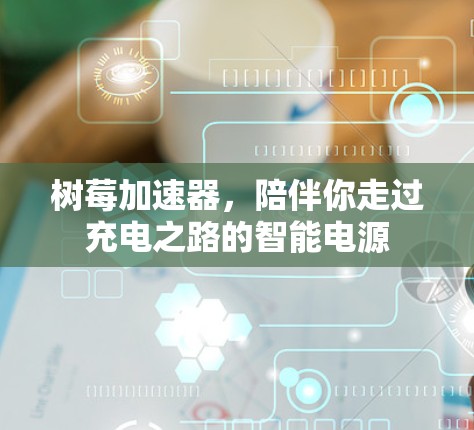 树莓加速器,陪伴你走过充电之路的智能电源