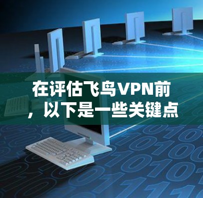 在评估飞鸟VPN前，以下是一些关键点和建议，帮助你做出明智的选择