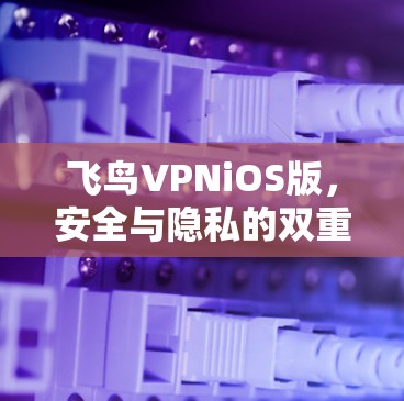 飞鸟VPNiOS版，安全与隐私的双重保障