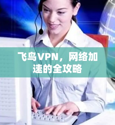 飞鸟VPN,网络加速的全攻略