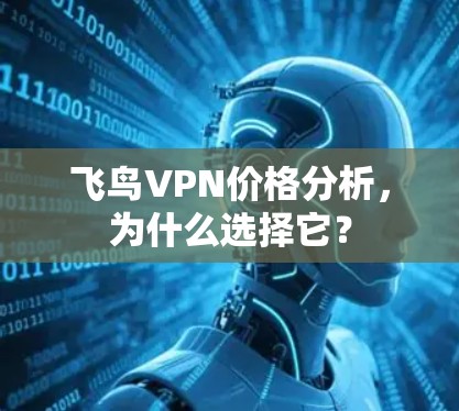 飞鸟VPN价格分析,为什么选择它?