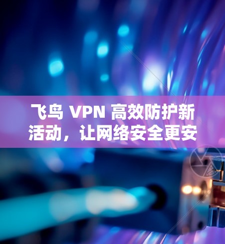 飞鸟 VPN 高效防护新活动,让网络安全更安心