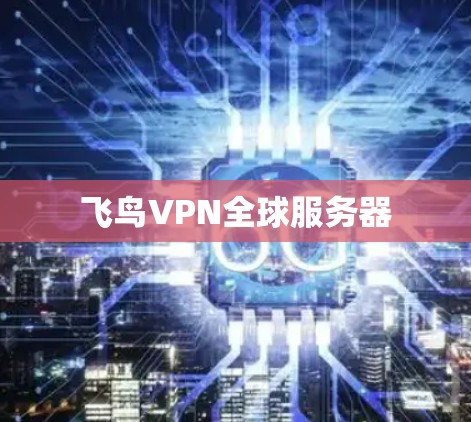 飞鸟VPN全球服务器