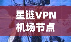 星链VPN机场节点是一个为特定机场或地点建立的VPN服务器,用于吸引用户并提供VPN服务。以下是关于这些节点的详细信息