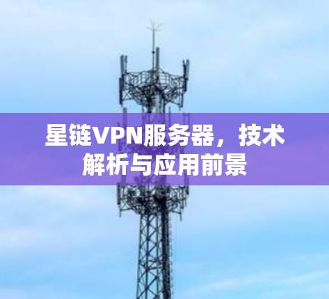 星链VPN服务器,技术解析与应用前景