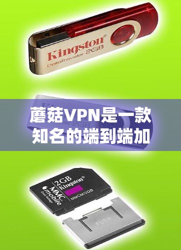 蘑菇VPN是一款知名的端到端加密VPN服务,提供多种端到端加密方式,包括2FA(双重认证)和端到端加密。如果你想下载官方版本,可以按照以下步骤进行