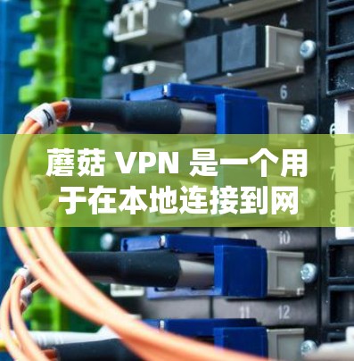 蘑菇 VPN 是一个用于在本地连接到网络服务器的客户端,通过VPN进行连接和访问外部网络。以下是详细的步骤指南
