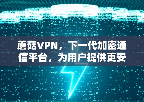 蘑菇VPN,下一代加密通信平台,为用户提供更安全的VPN体验