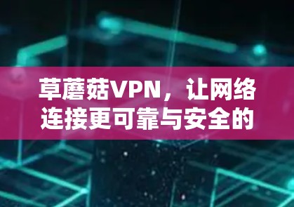 草蘑菇VPN,让网络连接更可靠与安全的解决方案