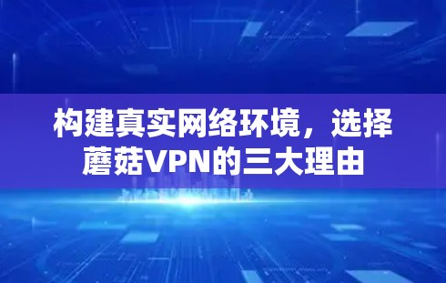 构建真实网络环境,选择蘑菇VPN的三大理由