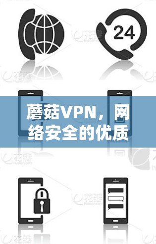 蘑菇VPN，网络安全的优质选择
