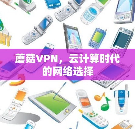 蘑菇VPN,云计算时代的网络选择