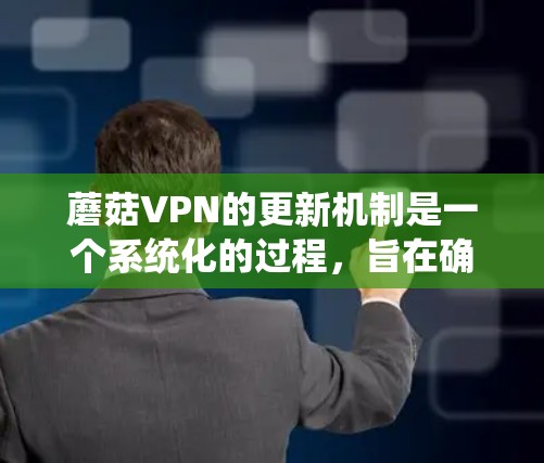 蘑菇VPN的更新机制是一个系统化的过程,旨在确保网络的安全性和用户体验。以下是蘑菇VPN更新的详细步骤和流程