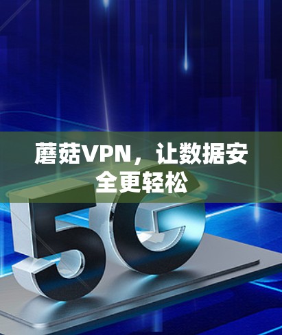 蘑菇VPN，让数据安全更轻松