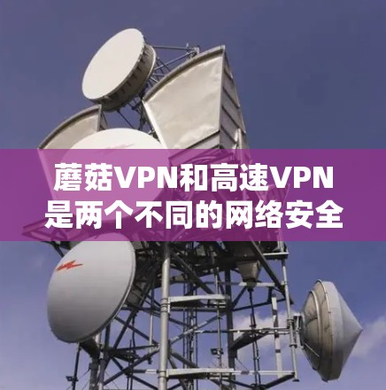 蘑菇VPN和高速VPN是两个不同的网络安全工具,主要区别在于它们的设计目标、功能模块和使用场景。以下是它们的主要区别和特点