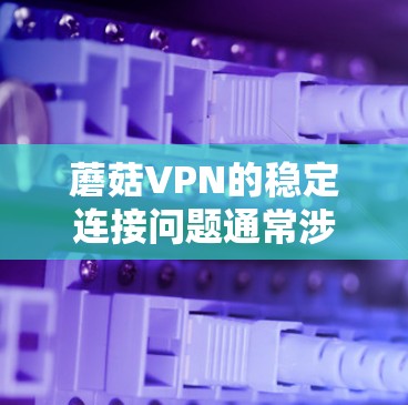 蘑菇VPN的稳定连接问题通常涉及多个因素，包括用户输入信息错误、网络连接不稳定、目标服务器环境不佳等。以下是逐步排查和解决的方法