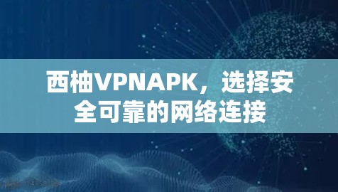 西柚VPNAPK,选择安全可靠的网络连接