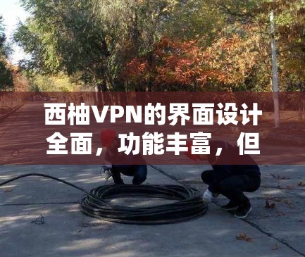 西柚VPN的界面设计全面,功能丰富,但需注意以下几点以避免常见问题