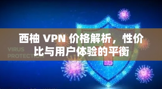 西柚 VPN 价格解析，性价比与用户体验的平衡