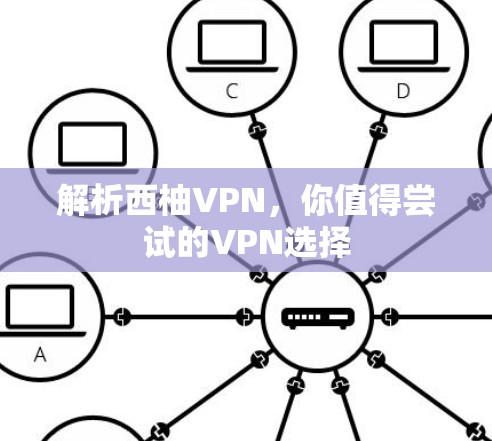 解析西柚VPN,你值得尝试的VPN选择