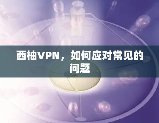 西柚VPN,如何应对常见的问题