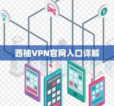 西柚VPN官网入口详解