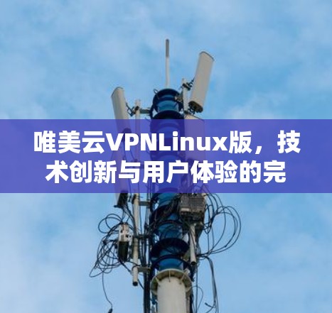 唯美云VPNLinux版,技术创新与用户体验的完美融合
