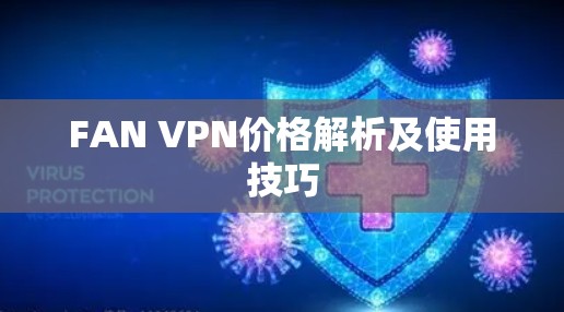 FAN VPN价格解析及使用技巧
