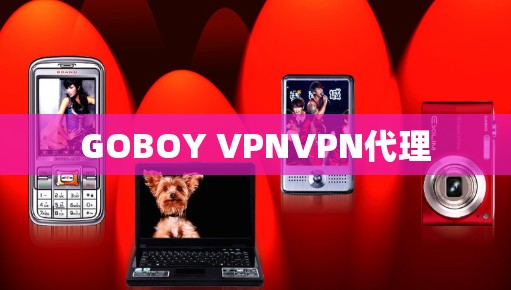 GOBOY VPNVPN代理