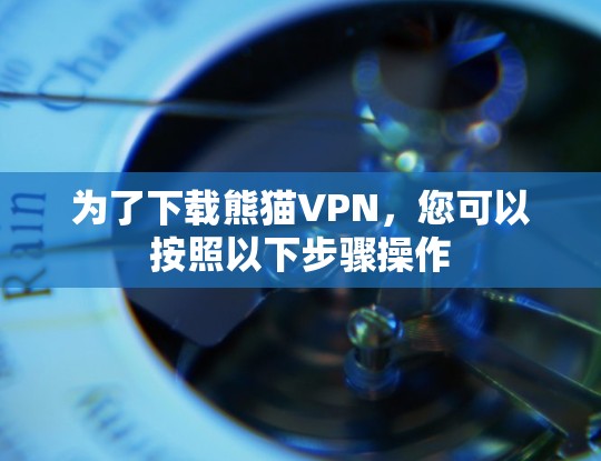 为了下载熊猫VPN,您可以按照以下步骤操作