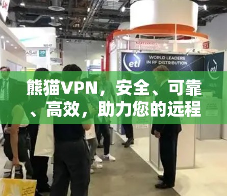 熊猫VPN,安全、可靠、高效,助力您的远程访问