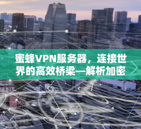 蜜蜂VPN服务器，连接世界的高效桥梁—解析加密通信的未来展望