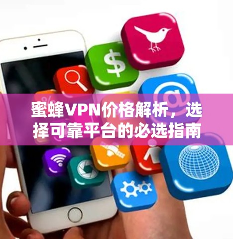 蜜蜂VPN价格解析,选择可靠平台的必选指南