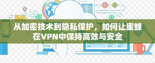 从加密技术到隐私保护，如何让蜜蜂在VPN中保持高效与安全