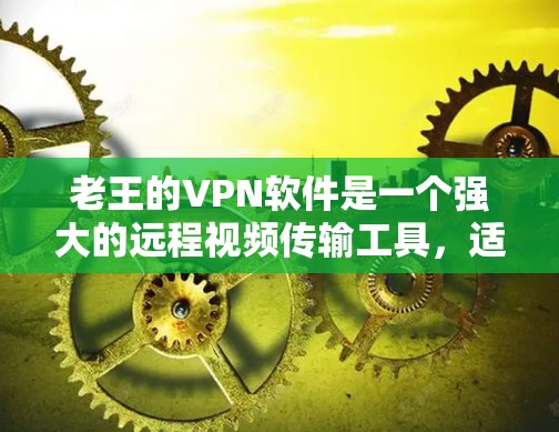老王的VPN软件是一个强大的远程视频传输工具,适合需要加密视频或远程办公场景。以下是逐步的使用步骤