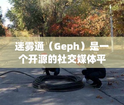 迷雾通(Geph)是一个开源的社交媒体平台,允许用户在多端设备上进行聊天、文件分享、直播、游戏等活动。用户登录迷雾通时,可以通过以下方式进行