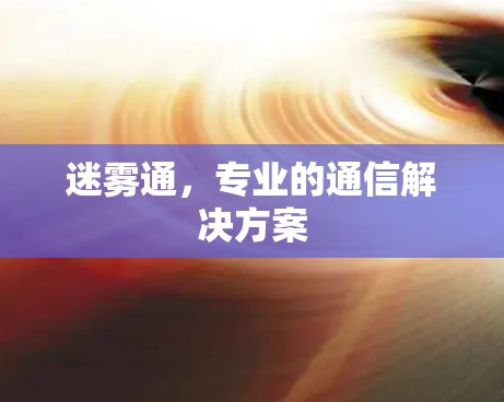 迷雾通,专业的通信解决方案