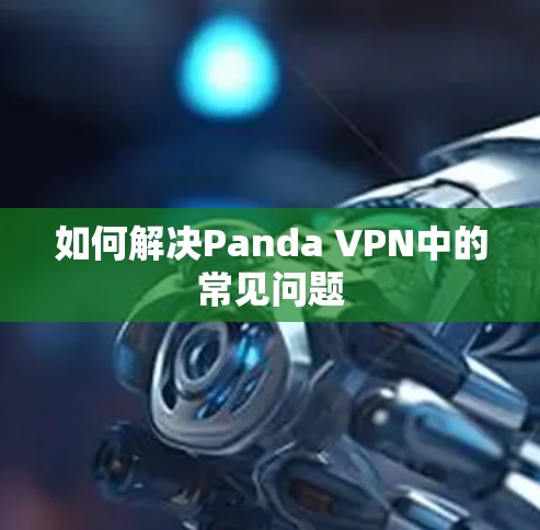 如何解决Panda VPN中的常见问题