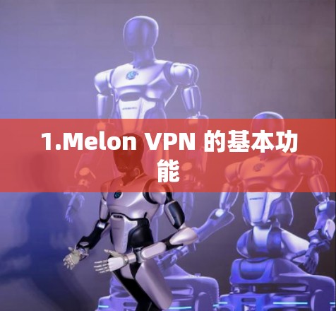 1.Melon VPN 的基本功能 1.Melon VPN 的基本功能